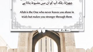 Best Quotes #quran #quotes #shortsviral #shortvideo #shorts #short #tranding #viralvideo #quranurdu