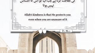 Best Quotes #quran #quotes #shortsviral #shortvideo #shorts #short #tranding #viralvideo #quranurdu 5