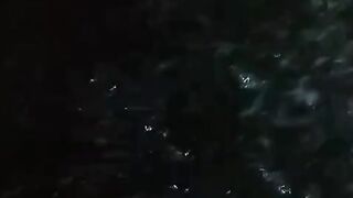 Tebar bibit ukuran BELOAN (9-12cm) pakannya min 3 saja biar gak boros