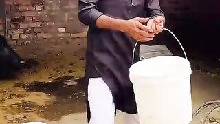 Comedy ll