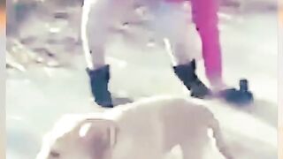 When Good Ideas Turn Into Epic Fails