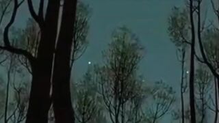 The magic of nature 3