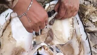 While searching for pearls in clams, I unexpectedly uncovered the cause of their death