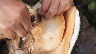 Unexpectedly, I discovered unknown crystals inside the clam that appeared highly valuable
