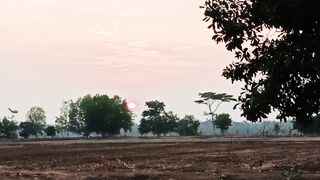 Tengelamnya Mentari
