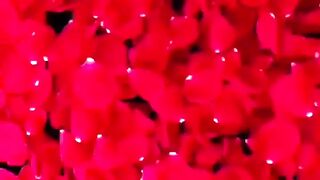 video 929