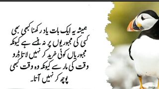 golden words //beautiful Urdu quotes