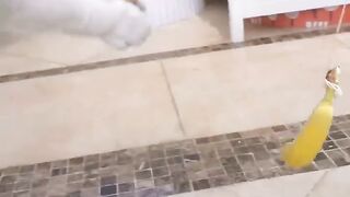 cute cat caught a hen //cat and hen //cat caught a hen and fried