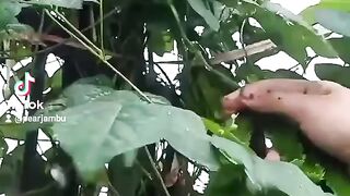 Nature view 4