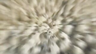 Barnacles vs Sea Turtle