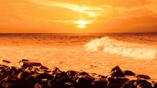Orange sunset
