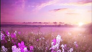 Beautiful view of nature 203