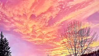 Beautiful view of nature 201