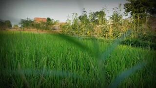 Made by Me Oxm View Greens View #Haryali #Greenru #BeautifulView
