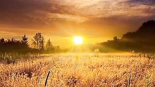 Beautiful view of nature 196
