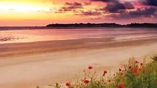 Beautiful view of nature 194