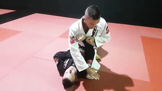 BJJ armbar from mount