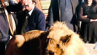 Lahore da pawa akthar lawa