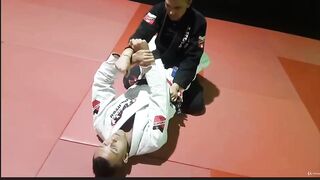 BJJ armbar
