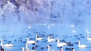 Beautiful view of nature 192