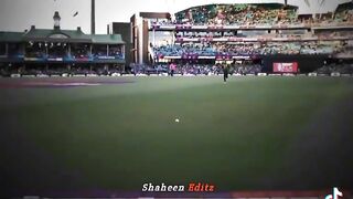 Sheeno sai panga ????????