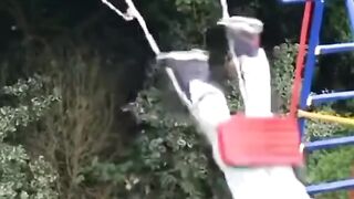 Funny Animalsss