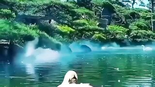Beautiful view of nature 189