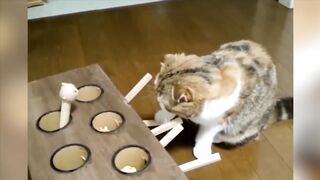 BEST ANIMALS OF 2023