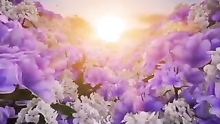 Beautiful view of nature 188