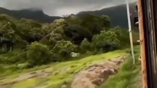 Beautiful view of nature 185