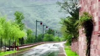 Beautiful view of nature 182