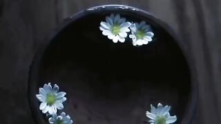 Beautiful view of nature 181