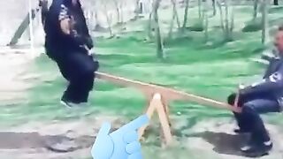 funny videos