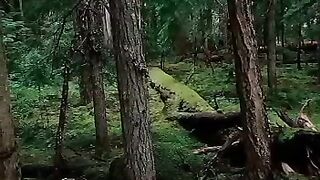 Beautiful view of nature 179