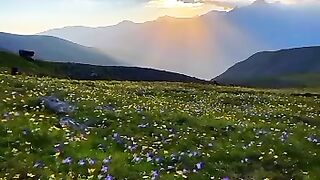 Beautiful view of nature 177