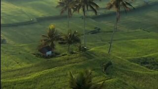 Beautiful view of nature 176