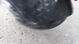 Amazing video 231