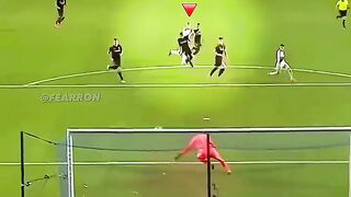 Don_t Touch Zlatan ????