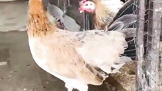 We are not upset