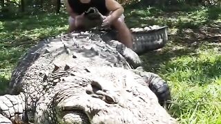 Henry Oldest Nile Crocodile on Earth