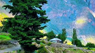 beautiful natural video ???? MA SHA ALLAH