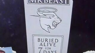 #mrbeaat