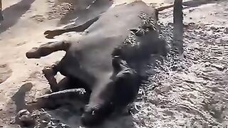 Aag lga di