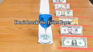 Don’t break the Toilet Paper