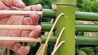 বাশ দিয়ে বন্দুক বানিয়ে দেখেন কি করে।