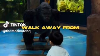 Things That We Should Always Walk Away From.