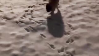 what is the dog doing?????????????????