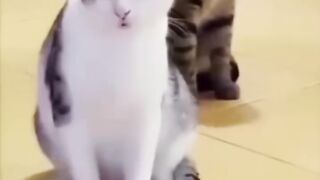 Jfjfjfjfnfjfjf