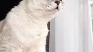 Uhgjhgbhbv