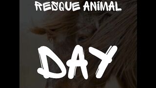 help hungry puppies